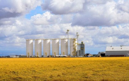 Bulk Rice Storage Tips